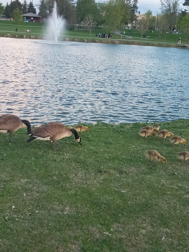 Andrew Haydon Park