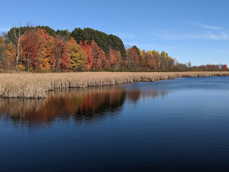 Mer Bleue Bog